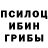Псилоцибиновые грибы прущие грибы Olqa Mironuk