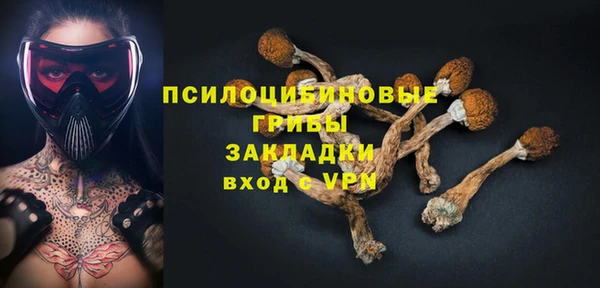 дмт Бородино
