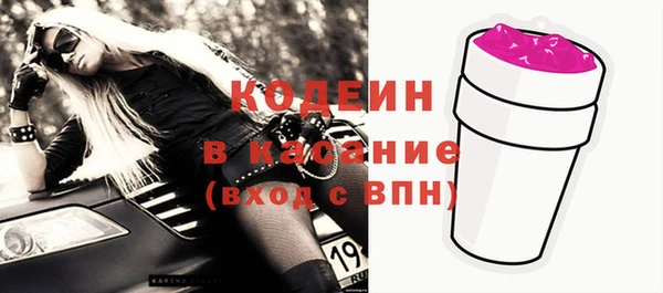 дмт Бородино