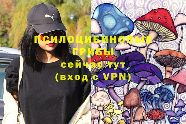 apvp Бугульма