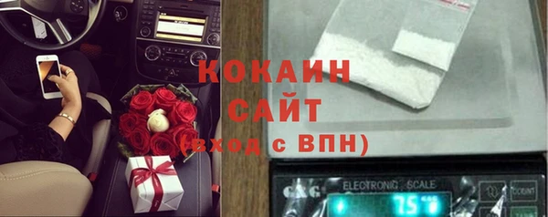 дмт Бородино