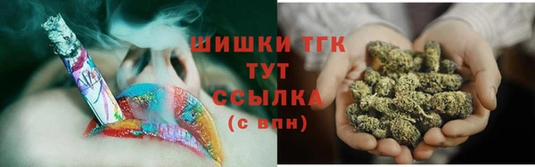 дмт Бородино