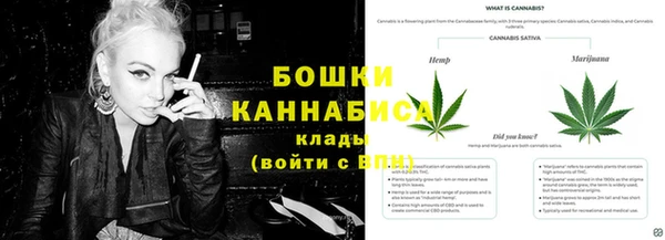 дмт Бородино
