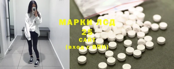 дмт Бородино