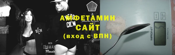 дмт Бородино