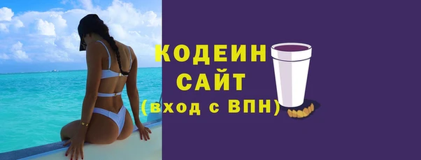 дмт Бородино