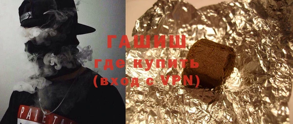 дмт Бородино