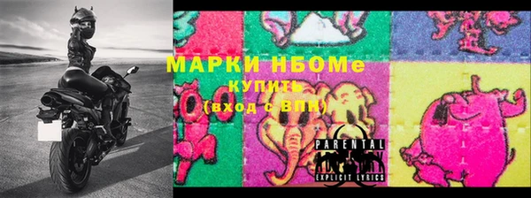 дмт Бородино