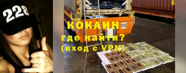 дмт Бородино