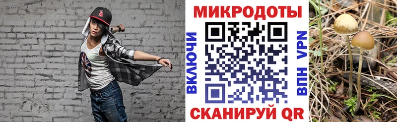 блэк спрут как зайти Бугуруслан Псилоцибиновые грибы MAGIC MUSHROOMS